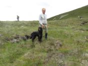 PCS - Puppy Stake Competitor